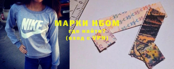 соль ск Новозыбков