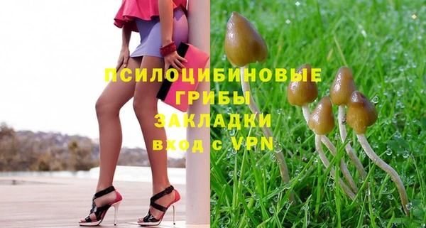 твердый Алексин