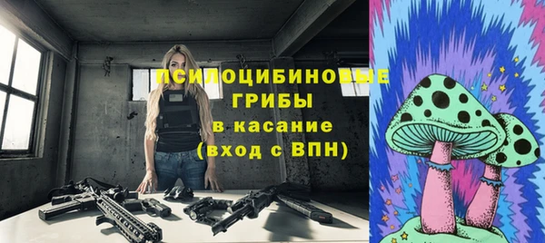 твердый Алексин