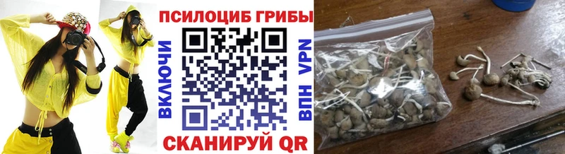хочу наркоту  blacksprut онион  Галлюциногенные грибы прущие грибы  Цимлянск 
